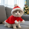 cat clothes