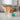  Dispensing Dog Ball