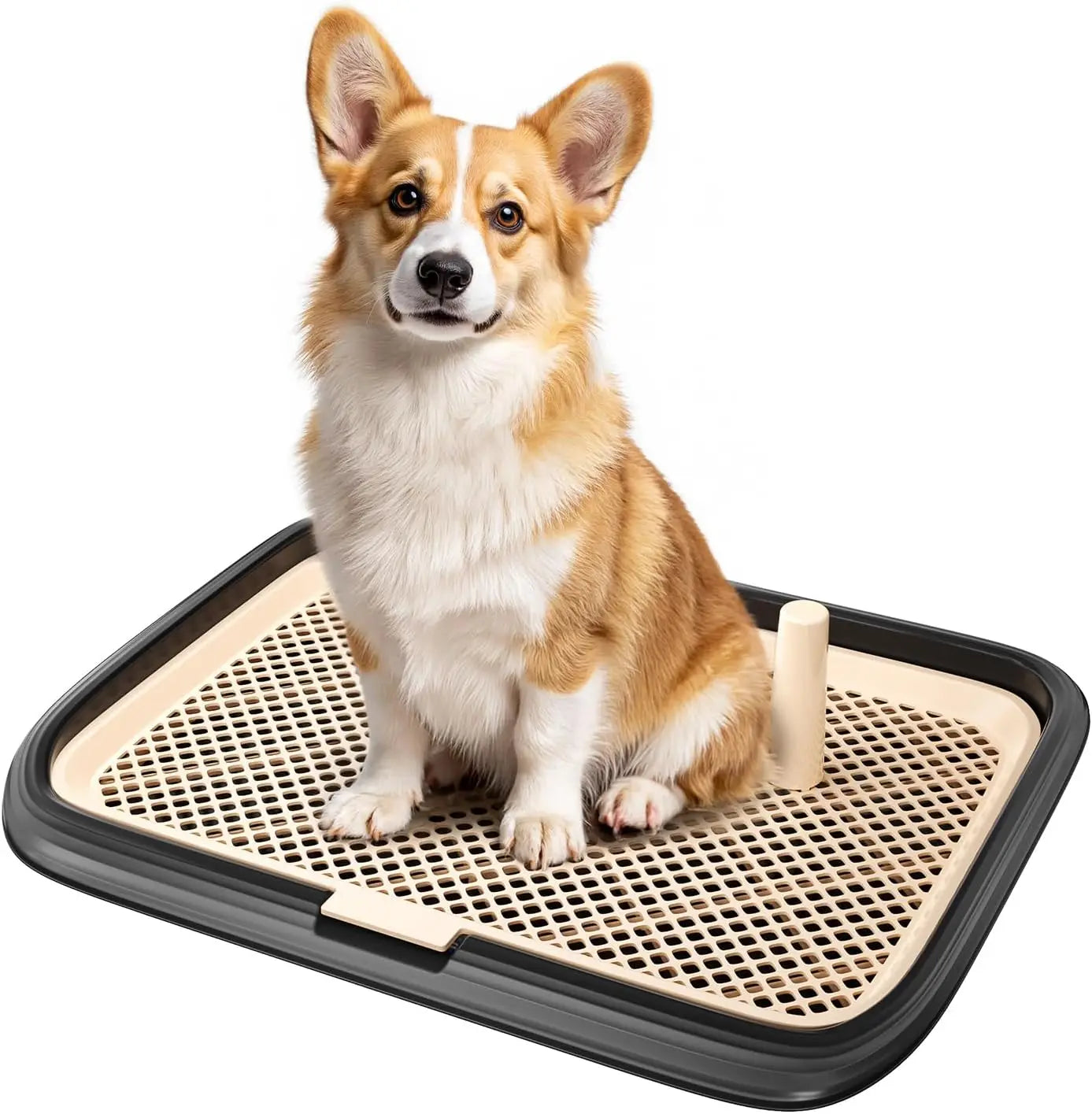 Dog Potty Tray Indoor Pad Holder Puppy Training Litter Box