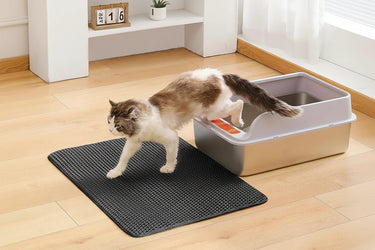 cat litter mat