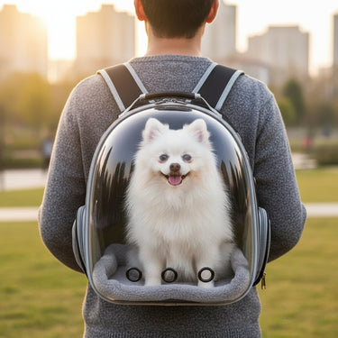 dog carrier backpack