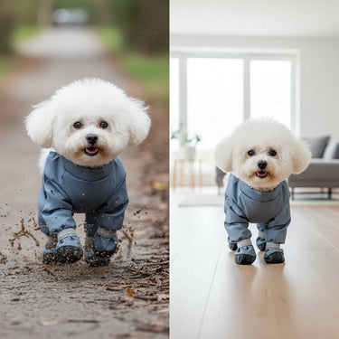 dogs raincoat