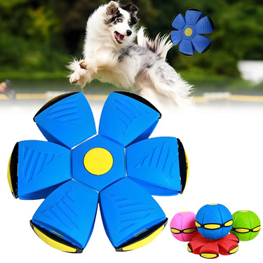 Flying Saucer Ball Dog Toy