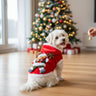 pet costumes