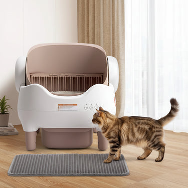 Automatic Self Cleaning