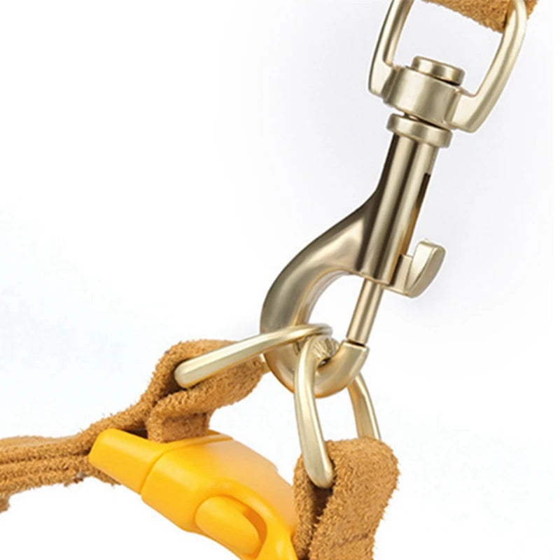 Soft Breathable Dog Collar Harness Leash Set For Small Dogs