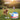 dog ball launcher