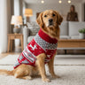 dog outfits