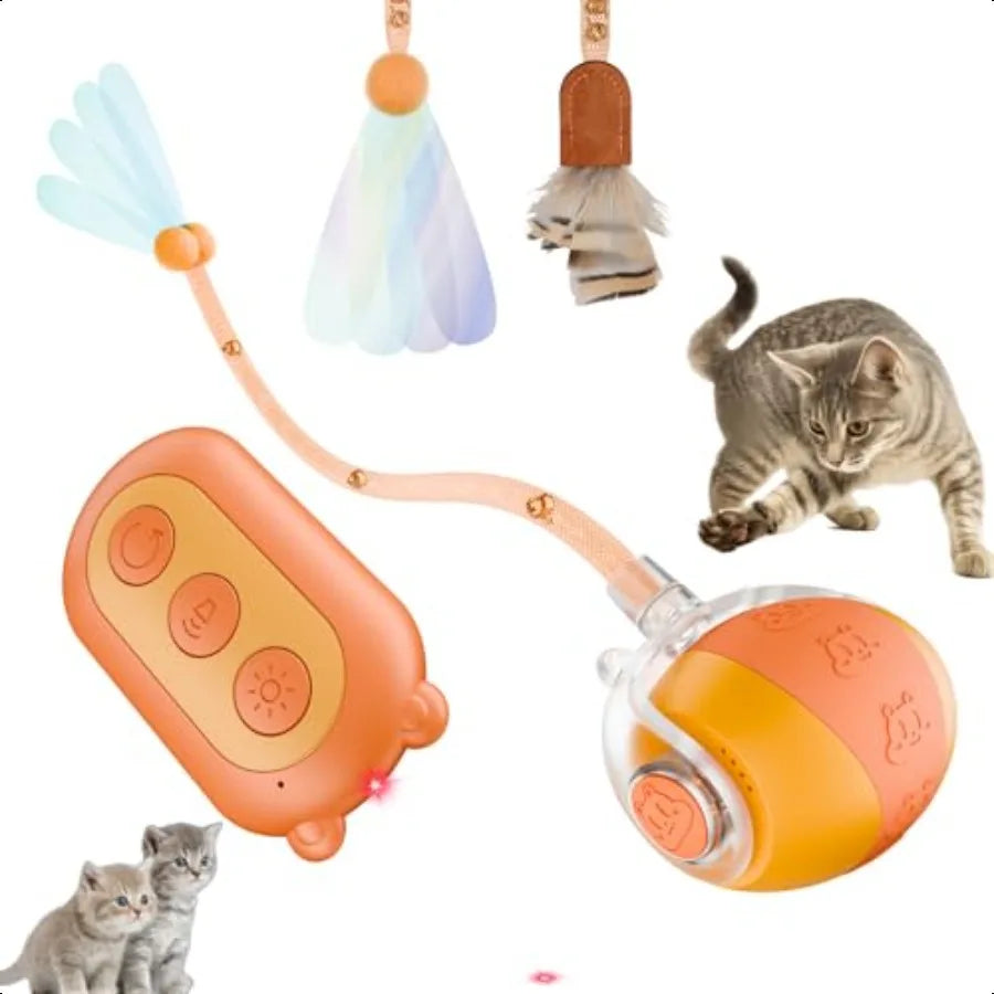 Interactive Cat Ball Toy For Indoor Cats 4th Gen Agile