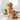 Dog grooming hair clipper kit