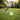 Automatic Dog Ball Launcher