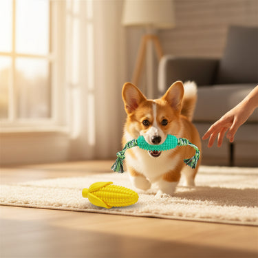  Corn Teething Toy For Puppies