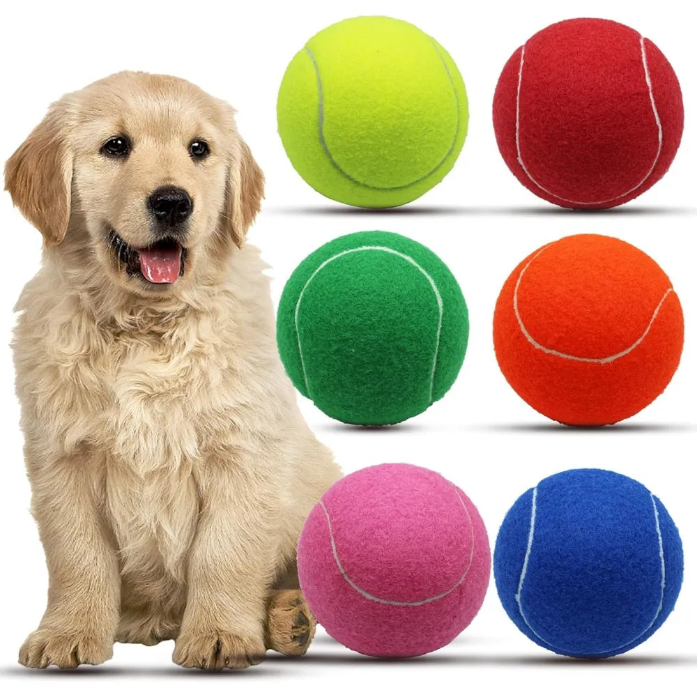 Magicorange Large 4 Inch Tennis Balls For Dogs Pack Of 6