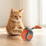 Cat Interactive Ball Toys 