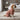 Soft Dog Pajama
