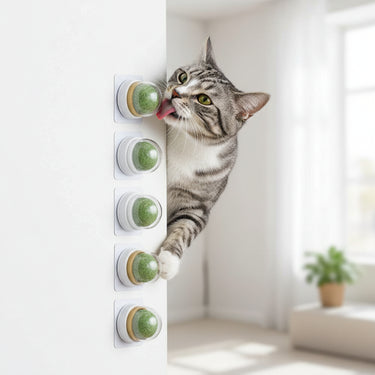 Catnip Mint Ball Toy Set