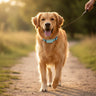 Smart Pet Tracker