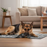 puppy blankets