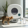 self cleaning cat litter box