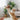 Catnip Interactive Bird