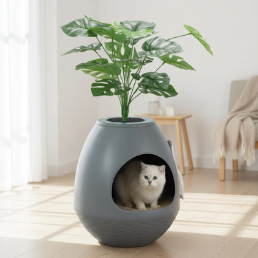 cat litter box