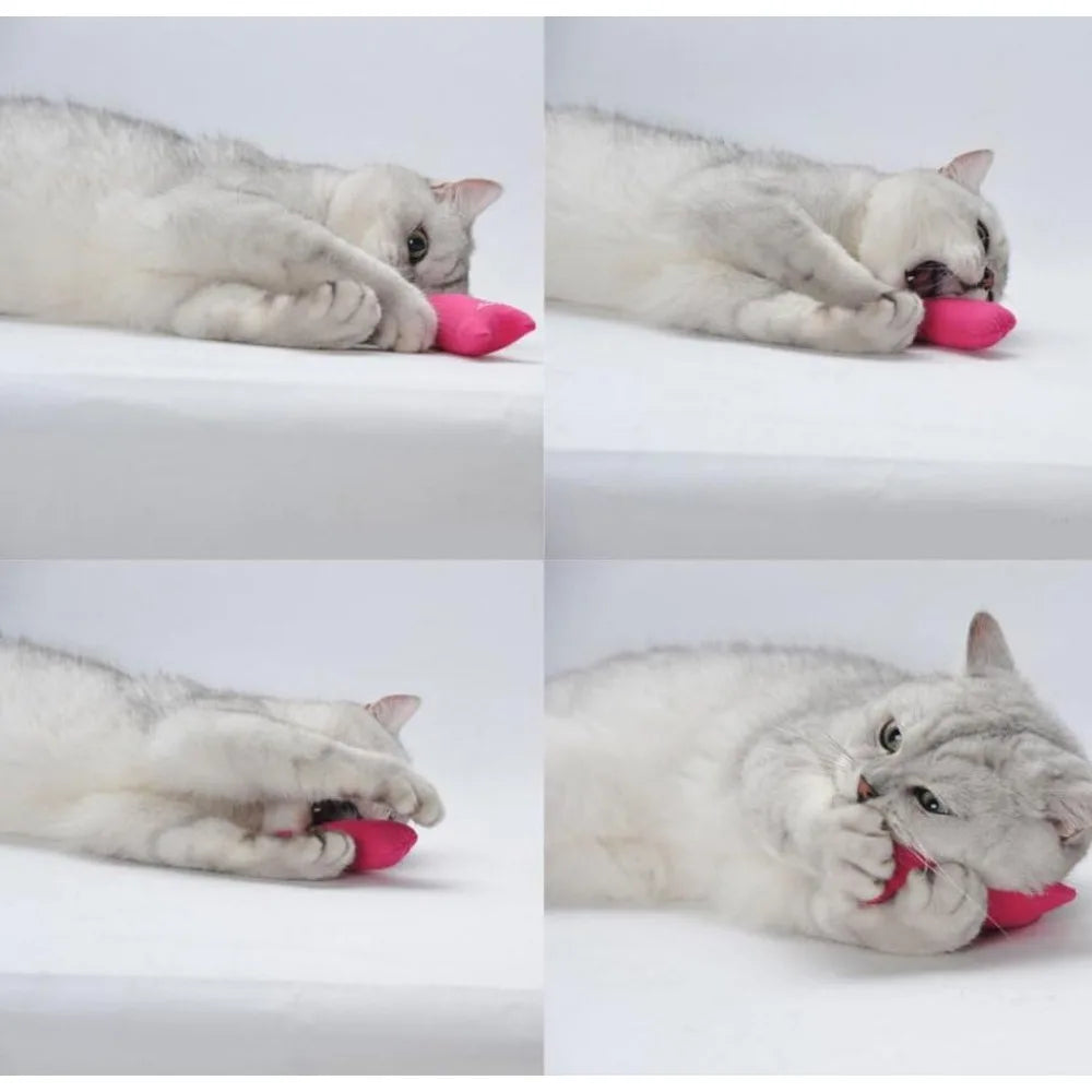 Bite Resistant Catnip Toys For Cats Teething Mice Cartoon