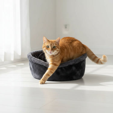 Large Cat Tree Tower