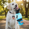 dog water bottle