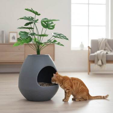 cat litter box