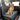 dog seat covers