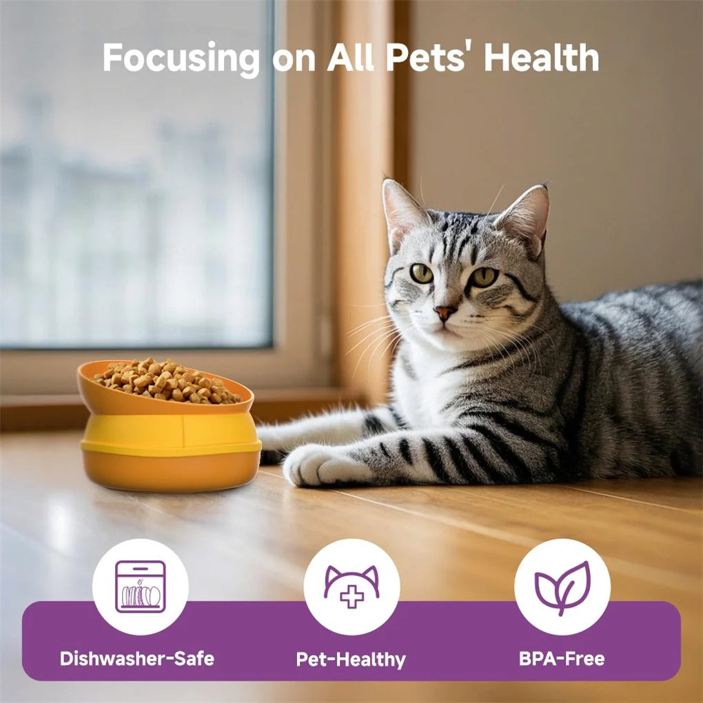 5 In 1 Pet Bowls Set Tilted Elevated Slow Feeder Lick Mat