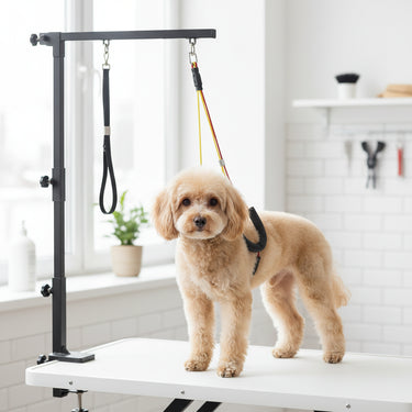 hydraulic grooming table