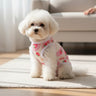 dog shirts
