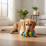 best interactive dog toys