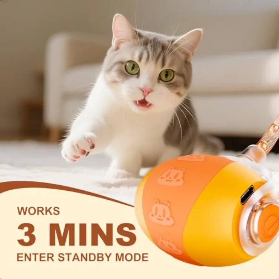 Interactive Cat Ball Toy For Indoor Cats 4th Gen Agile