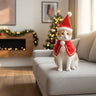 dog christmas outfits