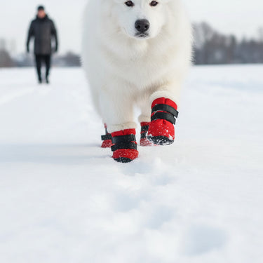 Dog Snow Boots