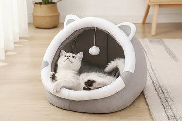 Cats Houses