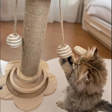 cat post