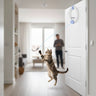 Door Hanging Cat Toy