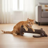 Crinkle Catnip Toys Plush