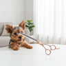 pet scissors
