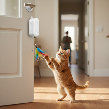 Door Hanging Cat Toy