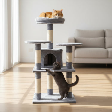 cats towers