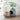 cat litter box