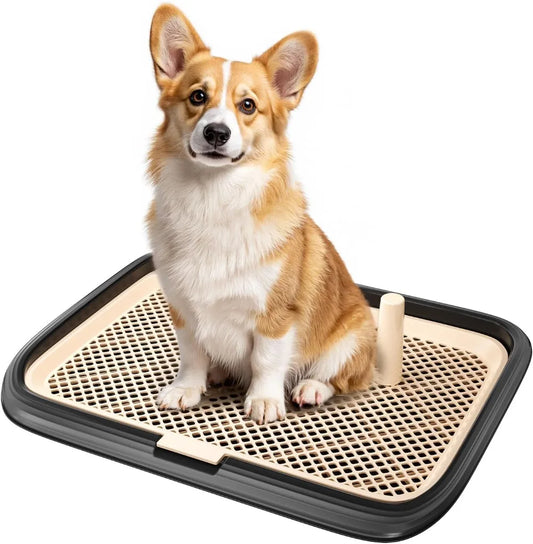 Dog Potty Tray Indoor Pad Holder Puppy Training Litter Box