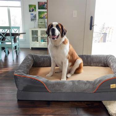 dog beds on sale