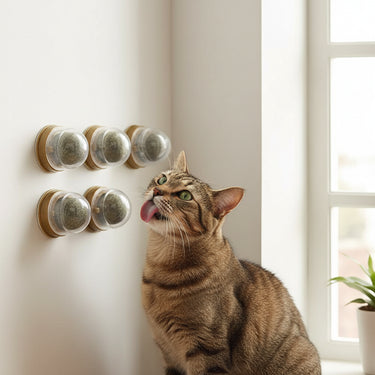 Catnip Mint Ball Toy Set