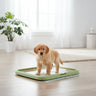 dog pee pads