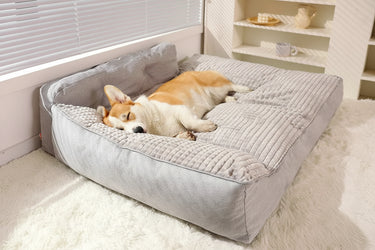 Dog Bed Fit